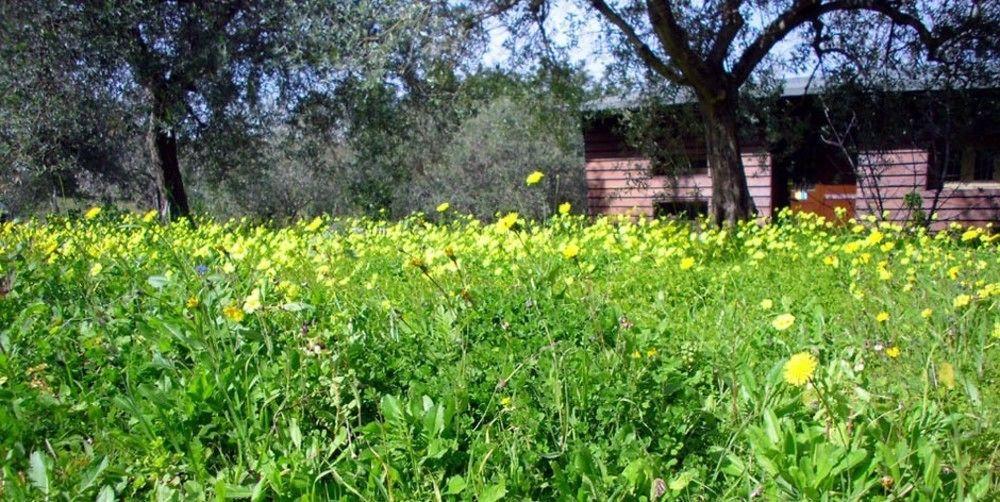Agriturismo Terra Di Pace Noto Exterior foto